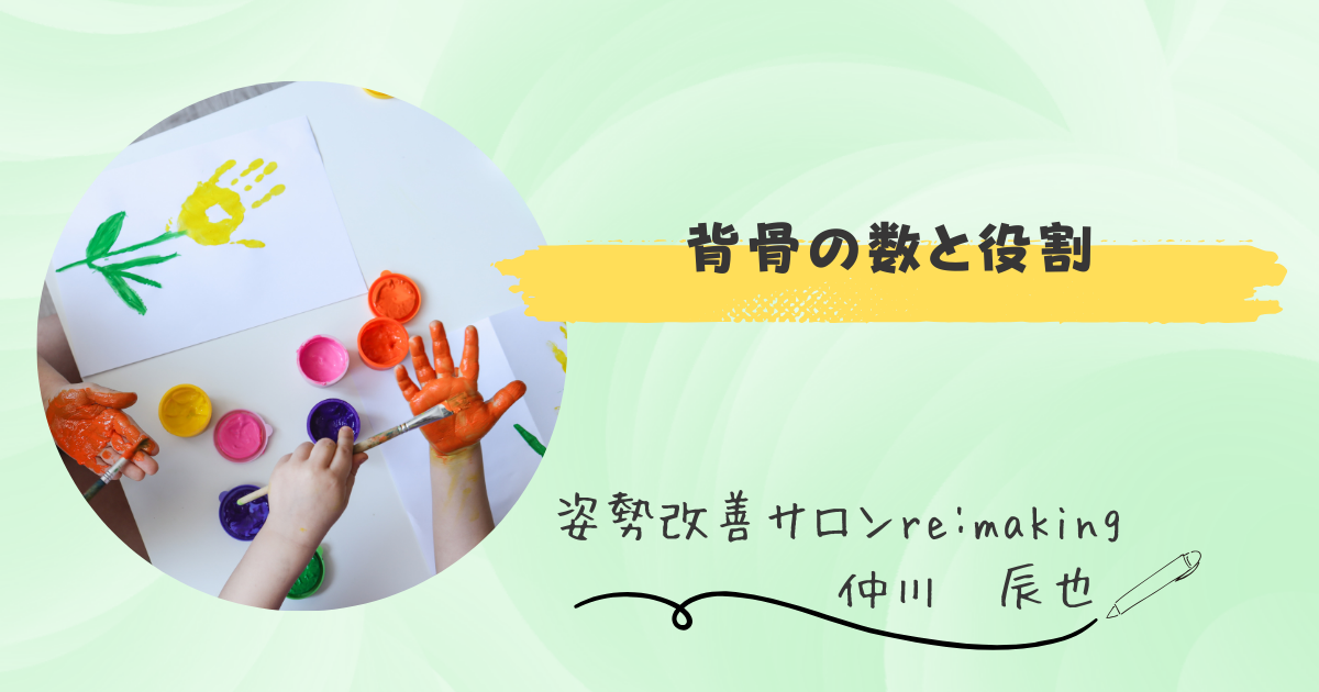 【背骨の数と役割】