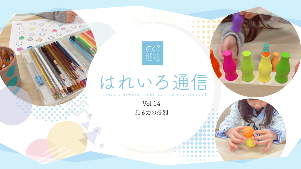見る力の分別